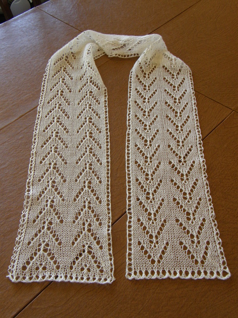 Cliff Swallow Scarf