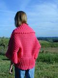 The Raspberry Wrap
